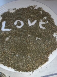 I want Voodoo Bring back lost love to day.